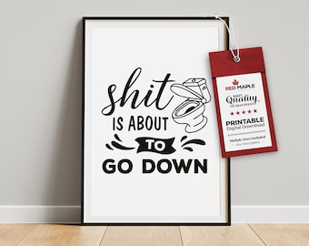 Funny Bathroom Sign, Toilet Humor Wall Art, Funny Bathroom Art, Printable Sign (Digital Download)