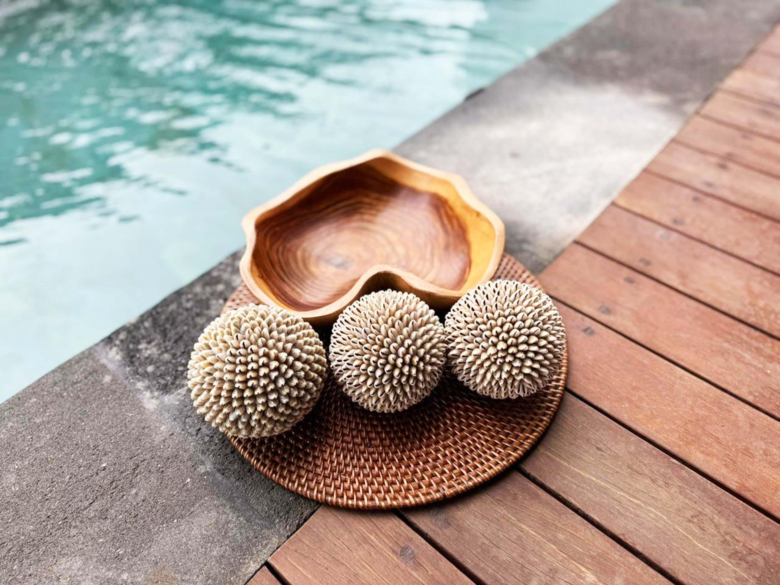 Cowrie Shell Ball Set, Coastal Table Decor, Beach House Ornament - Etsy