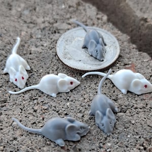 Micro, Mini, Miniatur-Mäuse, Maus, Handwerk, Spielzeug, Diorama, Weihnachten, Halloween Bauernhof Party Favor Schmuck Komponente, Sammlerstück 2 Stück