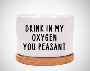 Drink In My Oxygen You Peasant. funny pun succulent plant pot