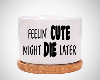 Feeling' Cute Might Die Later, funny pun succulent plant pot