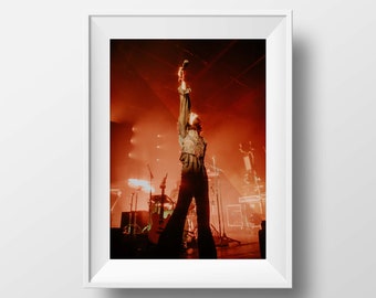 Conan Gray - High Quality Print