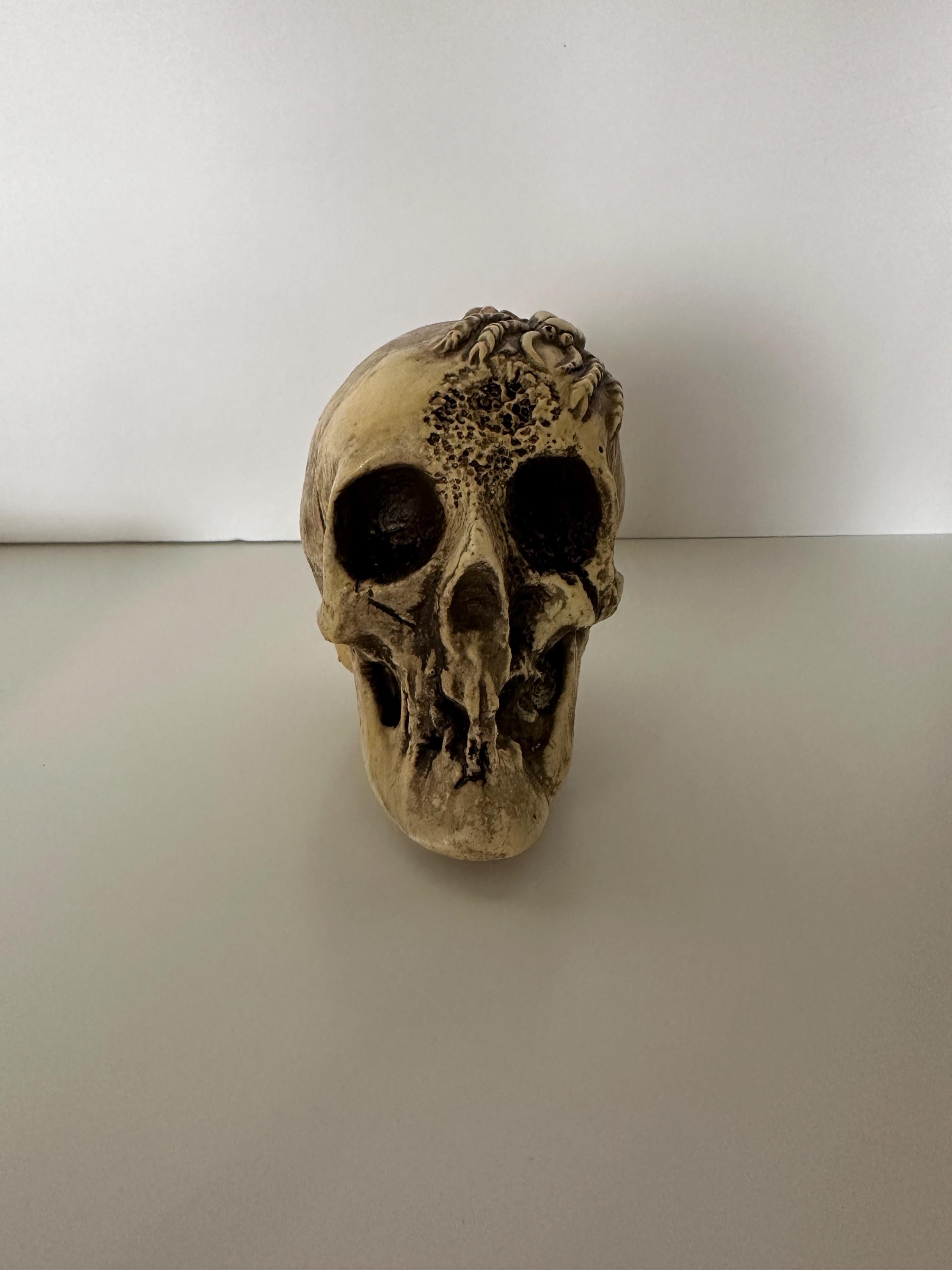 randotti ビンテージ　スカル　置物　ディズニー　髑髏　骸骨　義眼 Randotti Skulls | eBay
