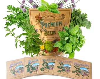 Essential Culinary Herb Garden Seed Collection - Basil, Chives, Cilantro, Parsley, and Oregano Seeds for Planting -Non-GMO, Heirloom Seeds