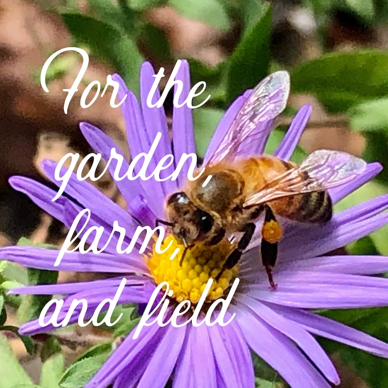 May include: A bee pollinating a purple flower with the text "For the garden, farm, and field" written in white cursive.