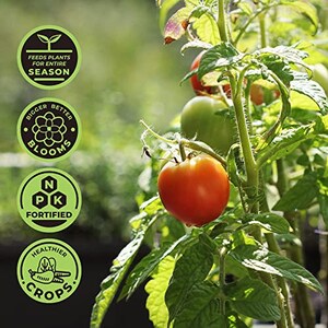 May include: Green and black labels with text that reads "Feeds plants for entire season", "Bigger better blooms", "NPK fortified", and "Healthier crops". The labels are attached to a tomato plant with green leaves and red tomatoes.