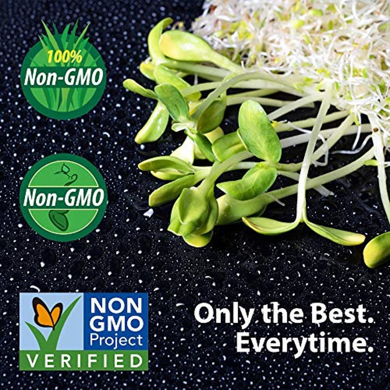 Organic Broccoli Sprout Growing Kit Includes 316 Stainless Steel