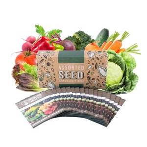 Salad Garden Seed Collection | Premium Assortment | 18 Non-GMO Vegetable Gardening Seed Packets: Swiss Chard, Pea, Spinach, Tomato, and more