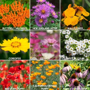 May include: A collage of nine images showcasing different types of flowers, including butterfly milkweed, New England aster, wallflower, coreopsis, cosmos, sweet alyssum, red corn poppy, California orange poppy, and purple coneflower.