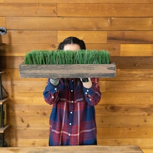 Wood Planter Box - Shallow - For Microgreens, Wheatgrass, & More
