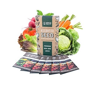 Salad Garden Seed Collection | Basic Assortment | 6 Non-GMO Vegetable Gardening Seed Packets: Lettuce, Carrot, Tomato, Cabbage, & More