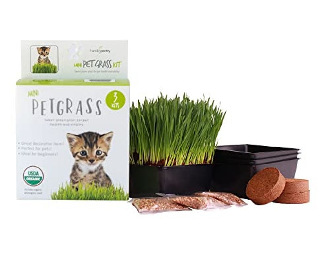 Handy Pantry Organic Cat Grass Kit - Includes 3 Trays, Soil Pucks, and 3 Packs Non GMO Wheatgrass Seed - A Healthy Treat For Cats, Dogs&More