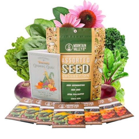 Fall Garden Heirloom Vegetable Seeds - 7 Varieties  Turnip, Beet, Chard,  Echinacea, Spinach, Brussel Sprouts, and Kale Heirloom Seeds - Etsy