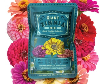 Zinnia Seeds - California Giant Mix