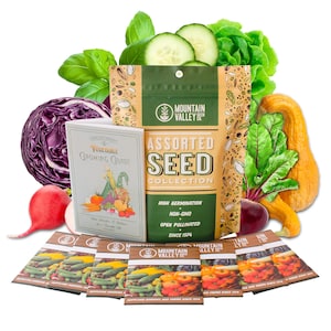 Summer Garden Heirloom Vegetable Seeds - 7 Varieties of Seeds to Sow in Summer Months - Beet, Lettuce, Radish, Basil, Cabbage, and more