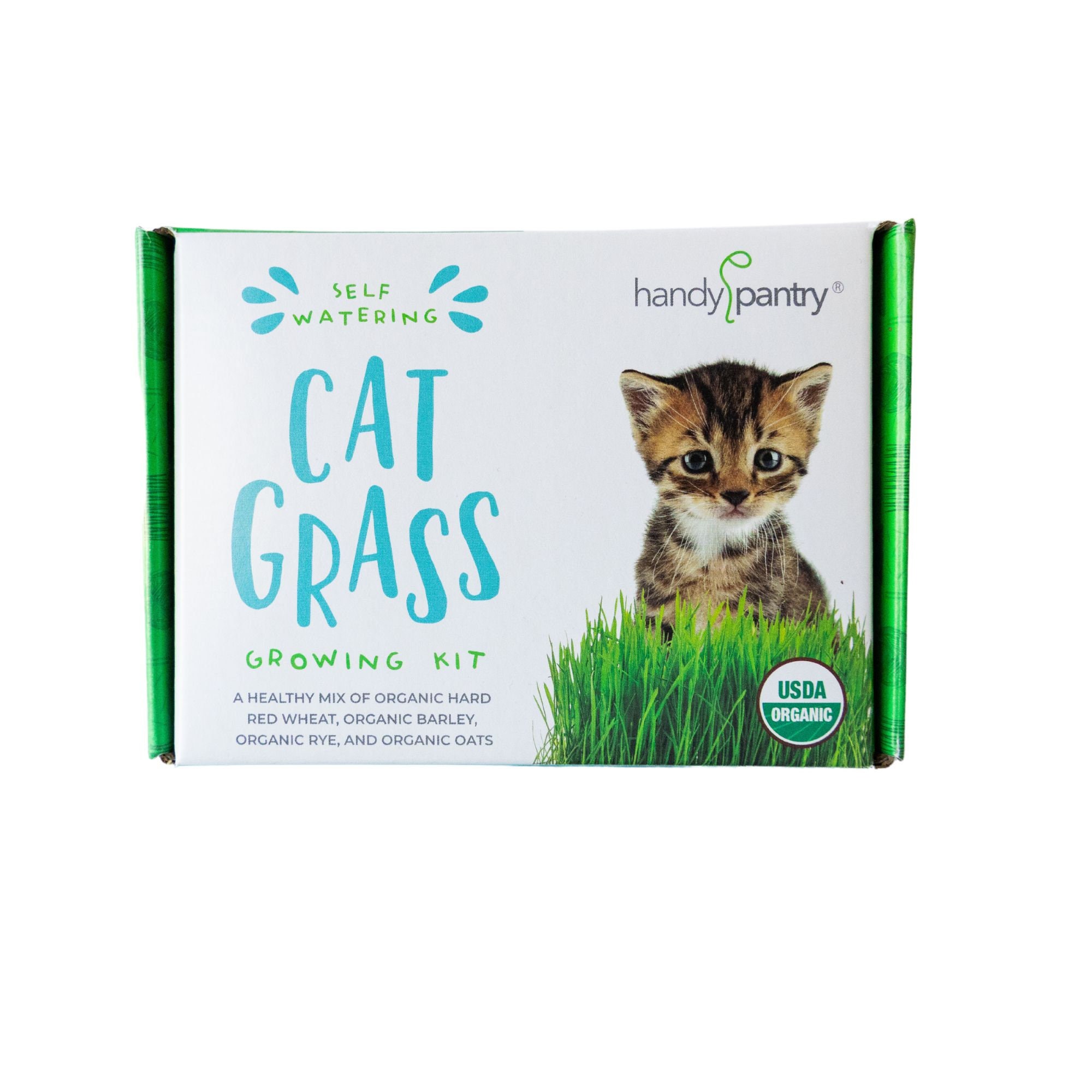 Plantes d'herbe à chat pour chats d'intérieur – Bac de culture d'herbe à  chat auto-arrosante pour chats d'intérieur, plantes grasses et herbe à chat