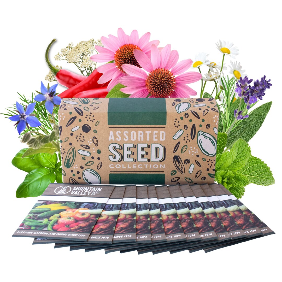 Medicinal & Herbal Tea Garden Seed Collection deluxe Assortment12 Non