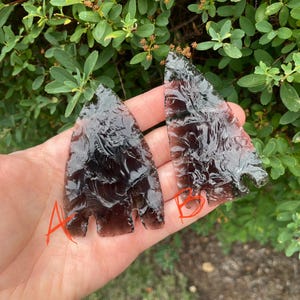 May include: Two dark purple arrowheads with a mottled, iridescent finish. The arrowheads are labeled A and B.