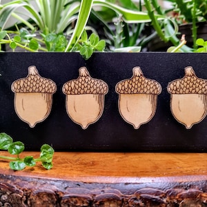 Mini acorn fridge magnets - wood, set of four