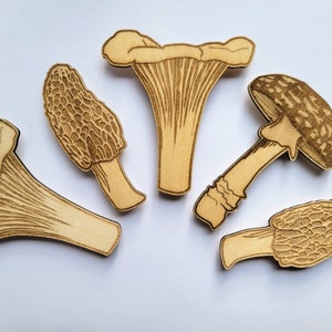 Mushroom fridge magnets - morel, chanterelle, amanita