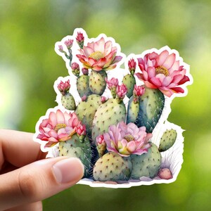 Pegatina de cactus rosa, pegatina de planta, pegatina de cuaderno, pegatina de planificador, pegatina de diario, pegatina de computadora portátil, pegatina de álbum de recortes, pegatina artesanal