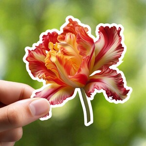 Sticker papegaai tulp, sticker bloem, notebook sticker, laptop sticker, planner sticker, dagboek sticker, plakboek sticker, ambachtelijke sticker