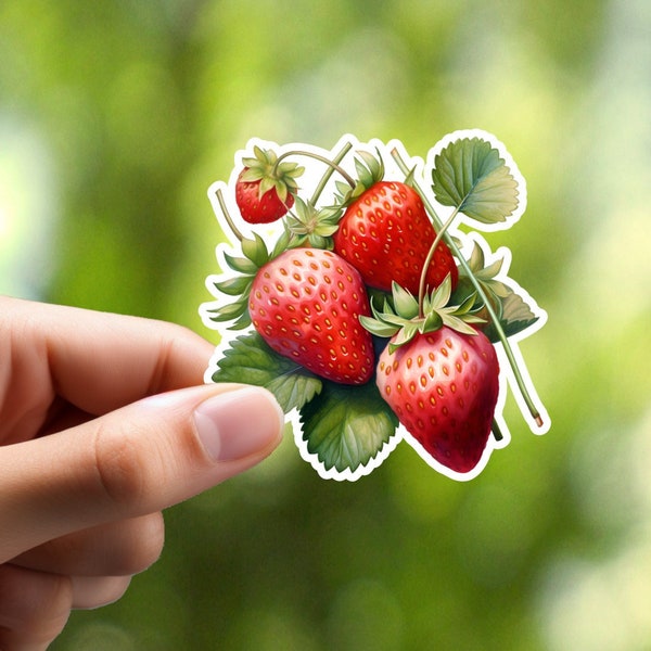 Strawberry Bunch Sticker, Laptop Sticker, Journal Sticker, Scrapbook Sticker, Binder Sticker