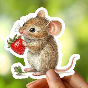 Maus mit Erdbeere Aufkleber, Tier Aufkleber, Aufkleber, Notebook Aufkleber, Planer Aufkleber, Journal Aufkleber, Laptop Aufkleber, Telefon Aufkleber, Aufkleber