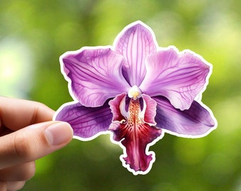 Orchid Stickers, Flower Sticker, Laptop Sticker, Notebook Sticker, Journal Sticker