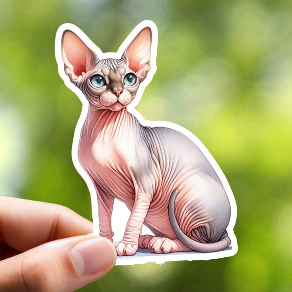Sphynx Cat Sticker, Hairless Cat Sticker, Pet Sticker, Notebook Sticker, Journal Sticker, Laptop Sticker, Planner Sticker, Craft Sticker
