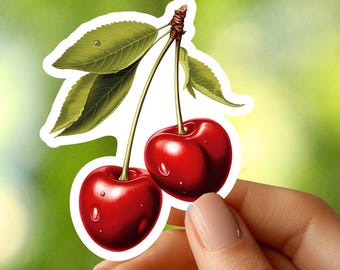 Pair of Cherries Sticker, Fruit Sticker, Food Sticker, Laptop Sticker, Planner Sticker, Journal Sticker, Notebook Sticker, Phone Sticker