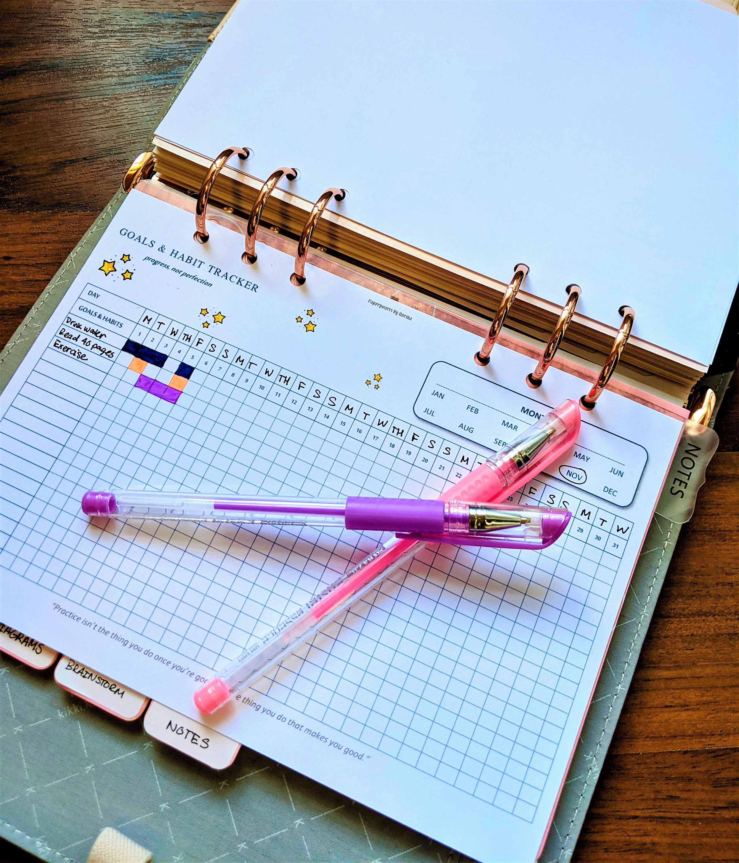 Monthly Habit Tracker A5 Printable Planners Inserts - Etsy