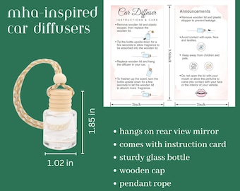 MHA-Inspired Car Diffusers