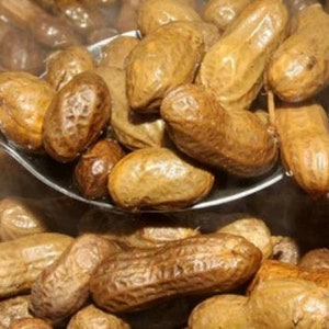 Wolfy's Spring Special/3-Pack Boiled Peanuts