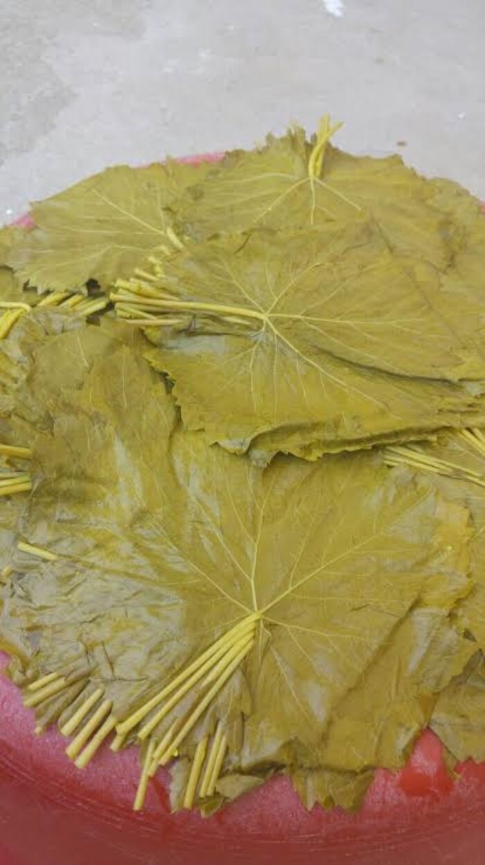 Hojas De Parra Hoja De Parra Sabores Anatolia Hoja De Etsy México