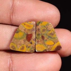 Piedra preciosa suelta de jaspe de fruta natural de alta calidad exclusiva con forma de fantasía, cabujón para hacer joyas, 19,40 ct, 16 x 13 x 4 mm, GA-16227