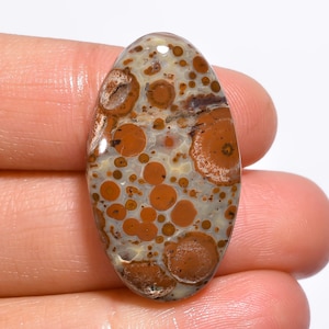 Geweldige hoogwaardige kwaliteit 100% natuurlijke asteroïde jaspis ovale cabochon losse edelsteen voor het maken van sieraden 26,5 kt. 31 x 18 x 7 mm GA-1062