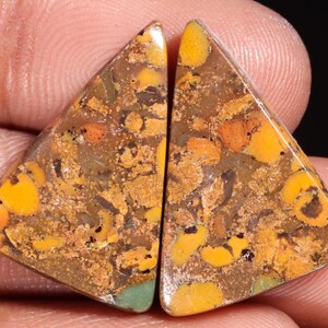 Cabujón triangular de jaspe frutal natural clásico de alta calidad, piedra preciosa suelta para joyería, 27,25 ct, 24 x 17 x 5 mm, GA-16195