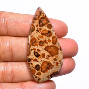 Elegante hoogwaardige kwaliteit 100% natuurlijke Leopardiet-Jaspis fancy cabochon losse edelsteen voor het maken van sieraden 46 kt. 49 x 24 x 5 mm GA-1270