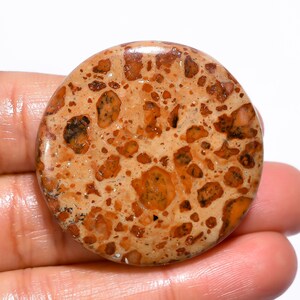 Uitstekende hoogwaardige kwaliteit 100% natuurlijke Leopardiet-Jaspis ronde cabochon losse edelsteen voor het maken van sieraden 73 kt. 37 x 37 x 7 mm GA-1253