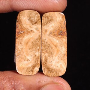 Esclusiva coppia di pietre preziose sciolte a forma di cabochon di aragonite naturale di alta qualità, per realizzare gioielli, 41,75 ct, 31 x 13 x 5 mm, GA-16256