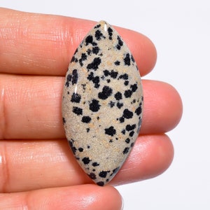 Classic Top Grade Quality 100% Natural Dalmatian Jasper Marquise Shape Cabochon Loose Gemstone For Making Jewelry 33 Ct. 40X19X6 mm GA-1908