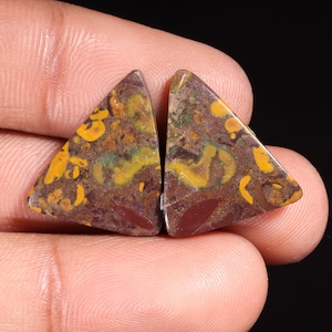 Meravigliosa pietra preziosa sciolta di diaspro naturale di frutta di qualità superiore, forma cabochon fantasia per la creazione di gioielli, 20,60 ct, 20 x 17 x 4 mm, GA-16213