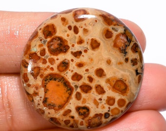 Attractive Top Grade Quality 100% Natural Leopardite Jasper Round Cabochon Loose Gemstone For Making Jewelry 52 Ct. 31X31X7 mm GA-1263