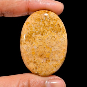 Fabulous Top Grade Quality 100% Natural Fossil Coral Oval Cabochon Loose Gemstone For Making Jewelry 68 Ct. 42X30X7 mm GA-1646