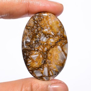 Beautiful Top Grade Quality 100% Natural Wild Hourse Jasper Oval Cabochon Loose Gemstone For Making Jewelry 59.5 Ct. 43X29X6 mm GA-612