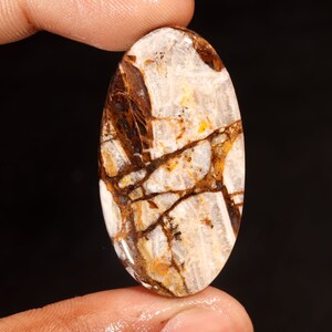 Exclusivo Top Quality 100% Natural Wild Horse Jasper Oval Forma Cabochão Pedra Preciosa Solta Para Fazer Joias 43,40 Ct 43x23x5 MM GA-3198