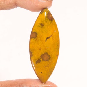 Klassieke Topkwaliteit 100% Natuurlijke Oceaan Jaspis Marquise Vorm Cabochon Losse Edelsteen Voor Het Maken Van Sieraden 50.35 Ct 56x23x6 MM GA-3007