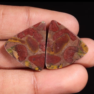 Classico diaspro naturale di frutta di qualità superiore a forma di triangolo cabochon pietra preziosa sciolta per la creazione di gioielli 32,60 ct 23X23X4 MM GA-16203