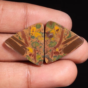 Mooie Topkwaliteit Natuurlijk Fruit Jaspis Driehoekvorm Cabochon Losse Edelsteen Voor Het Maken Van Sieraden 29.50 Ct 21X22X4 MM GA-16202